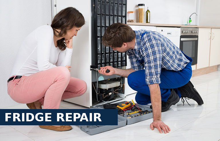 Fridge Repair Balham